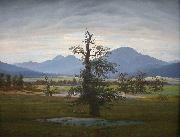 Caspar David Friedrich Landscape with Solitary Tree oil painting artist